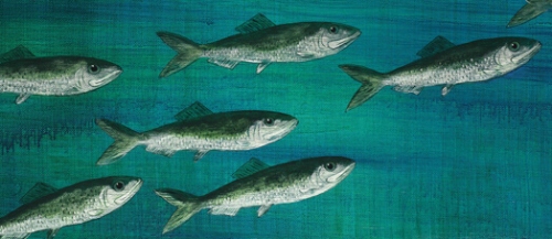 Herring (detail of painting by Robi Smith)